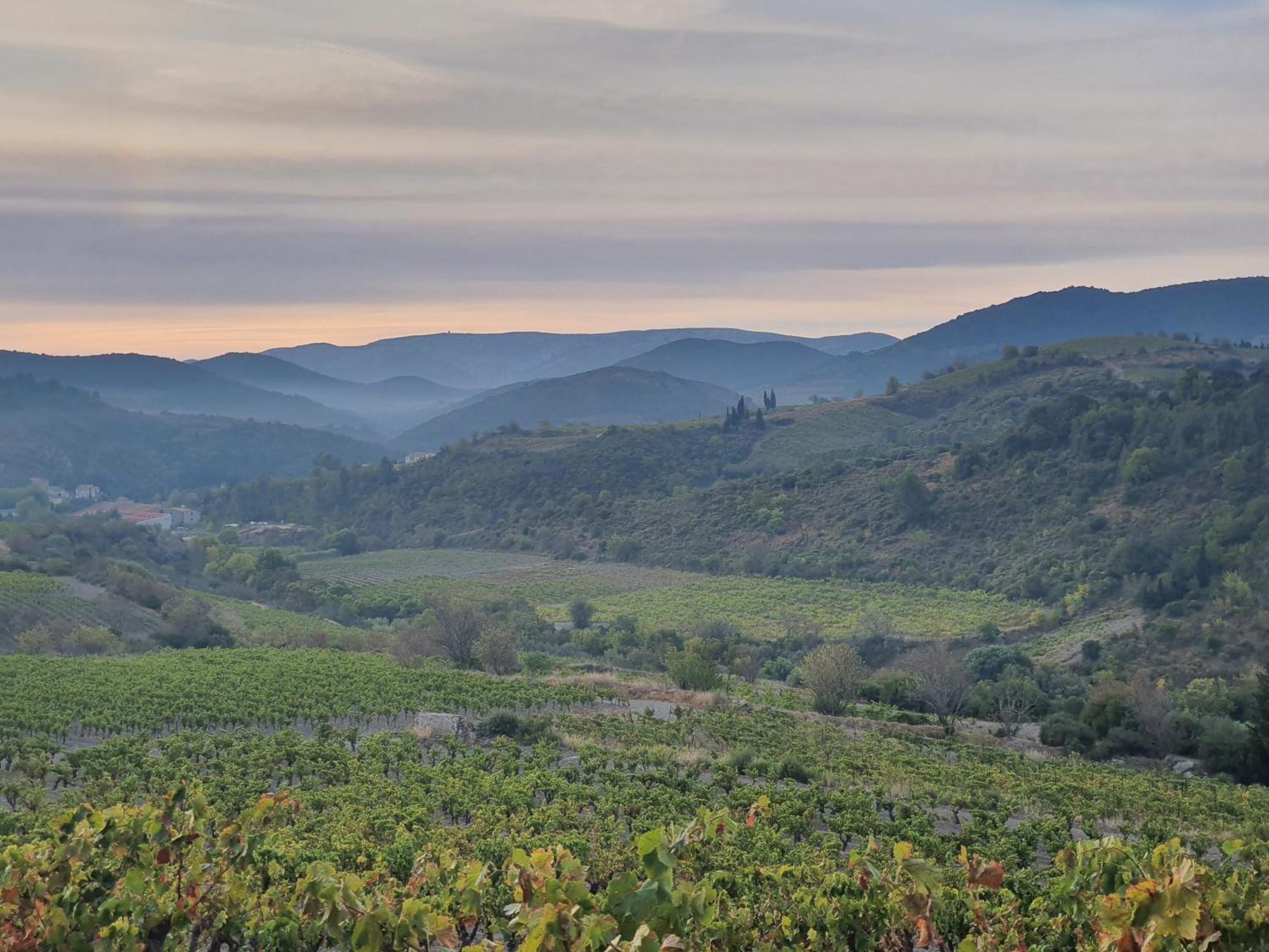 La Barbacane De Cascastel-des-Corbières Buitenkant foto