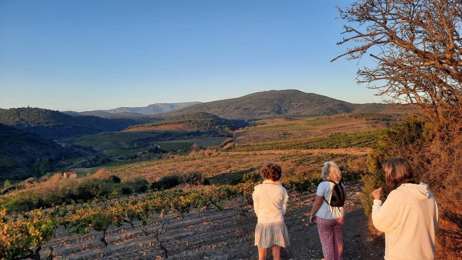 La Barbacane De Cascastel-des-Corbières Buitenkant foto