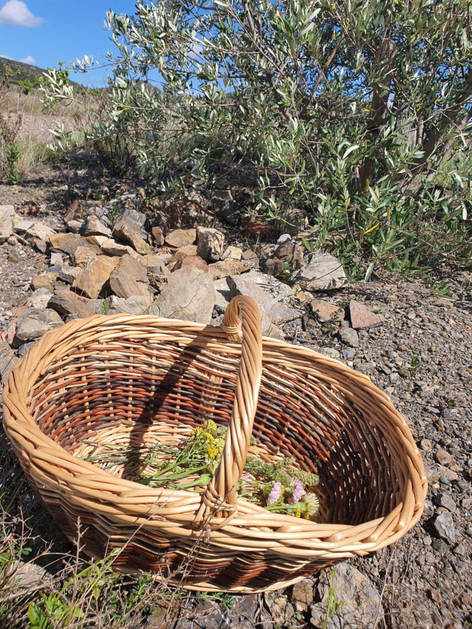 La Barbacane De Cascastel-des-Corbières Buitenkant foto